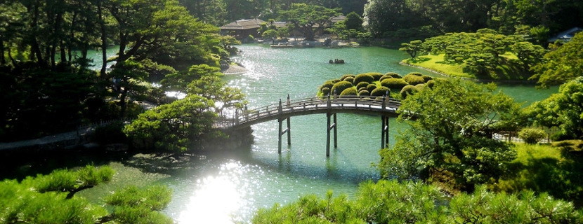 Scenic view of forest and bridge.