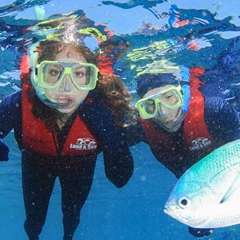 Spotlight story image pertaining to Bailey Rand scuba diving with another person and a fish