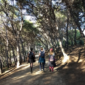 Students walking along a path in the woods