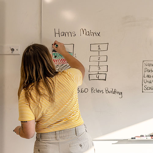 Student writing on whiteboard.