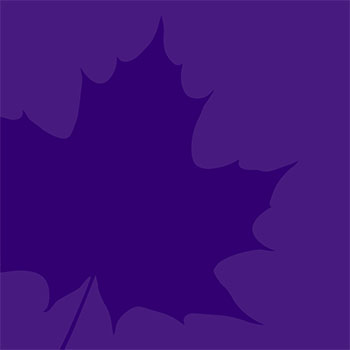 Spotlight story image pertaining to Purple leaf