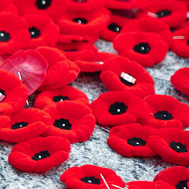Remembrance day poppies