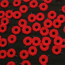 Remembrance Day poppies 