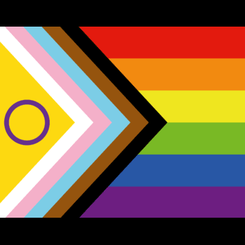 Spotlight story image pertaining to Intersex progress flag. Bands of six pride colors stacked. Black and brown arrow shaped bands represent marginalized LGBTQ+ communities of color, along with the colors pink, light blue and white arrow bands, which represent transgender pride . A purple circle on yellow background is the intersex symbol and represent genderless colors