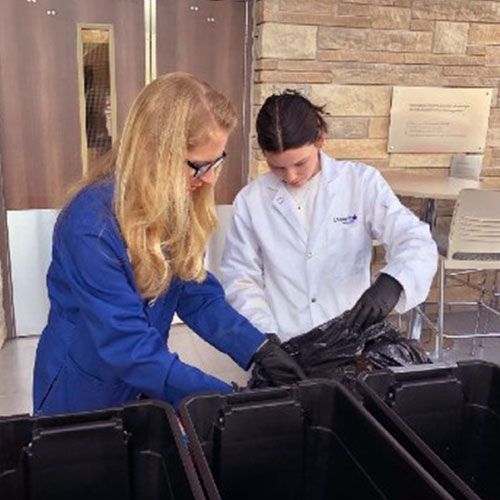 Waste audit being conducted