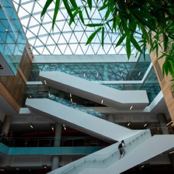 In-demand job experience a key feature of Laurier's Master of Finance program