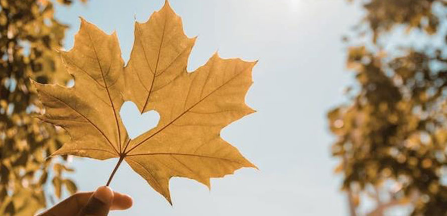 hand holding leaf with heart cut out in middle of the leaf