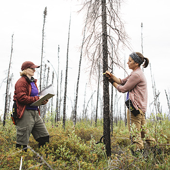 Laurier researchers making an impact in Canada's North.