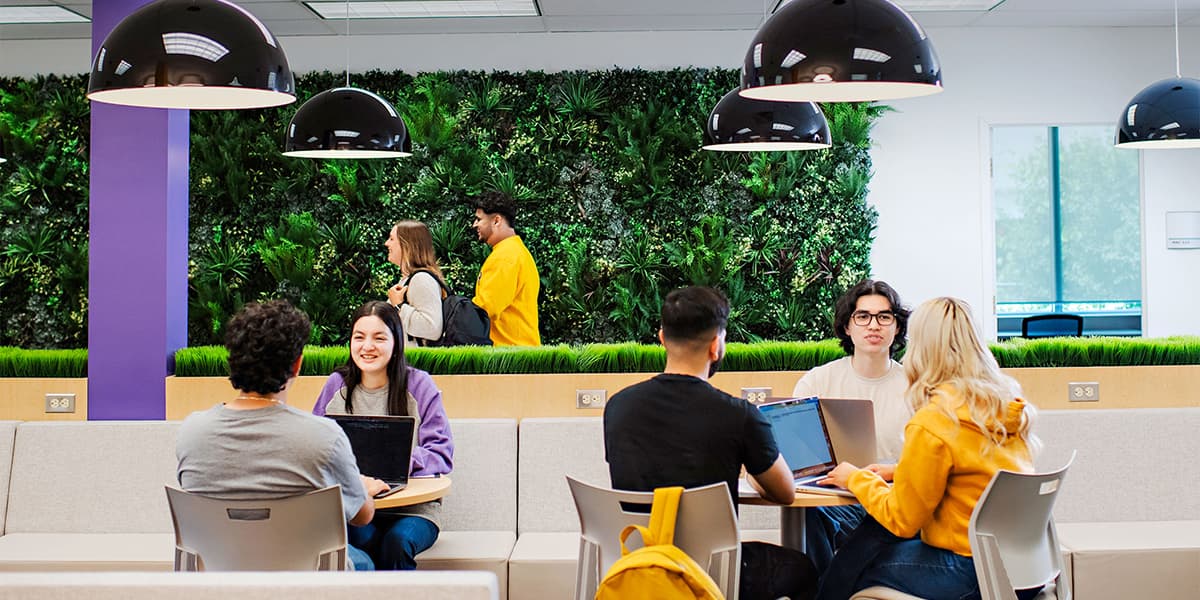 Students sitting at tables studying