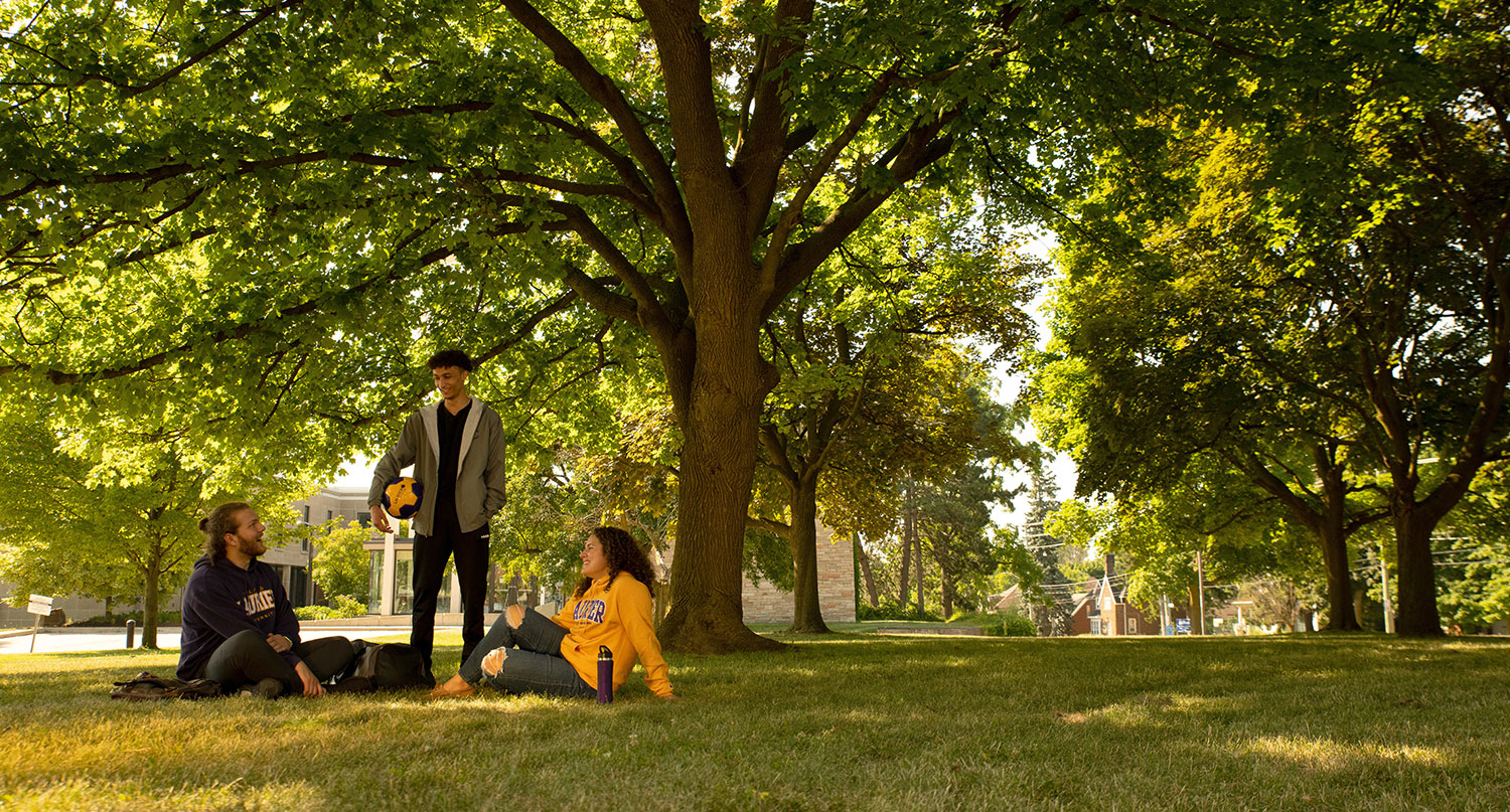 Three students chatting under a tree