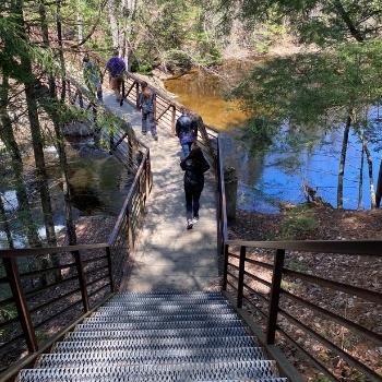 students at nature writing retreat out for a hike