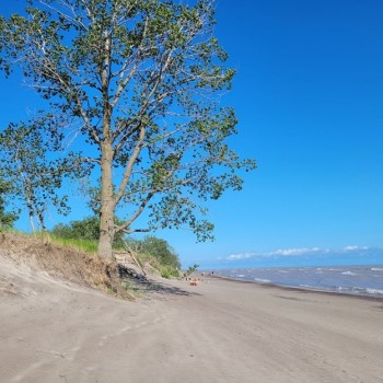 Dune at Long Point Provincial Park on Lake Erie