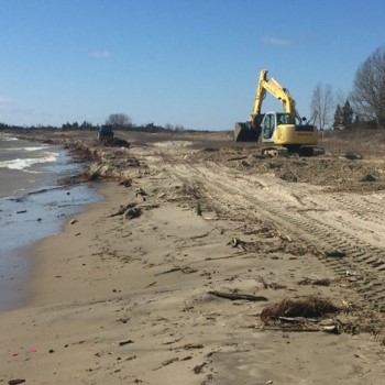 On Lake Huron’s Sauble Beach, the tourism economy has often trumped ecology, with bulldozing and raking destroying endangered piping plover habitat. Photo: Don Kennedy 