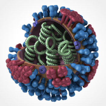 Flu cell diagram Flu cell diagram