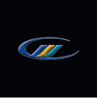 Audit logo
