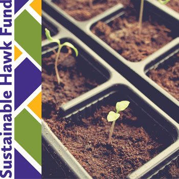 Sustainable Hawk Fund logo and seedling