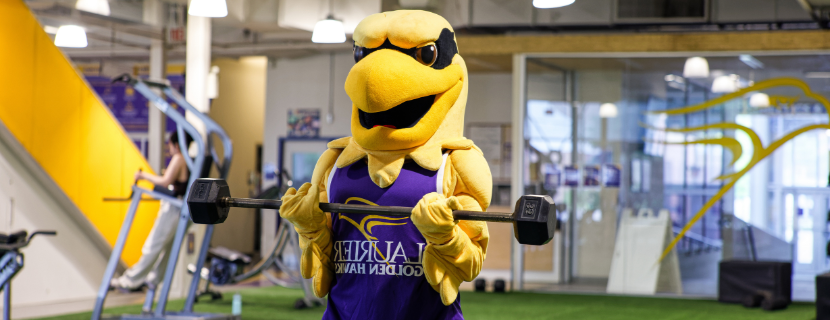 Golden Hawk mascot Midas lifting weights