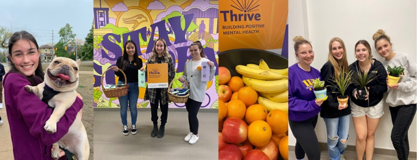 Wellness programming collage