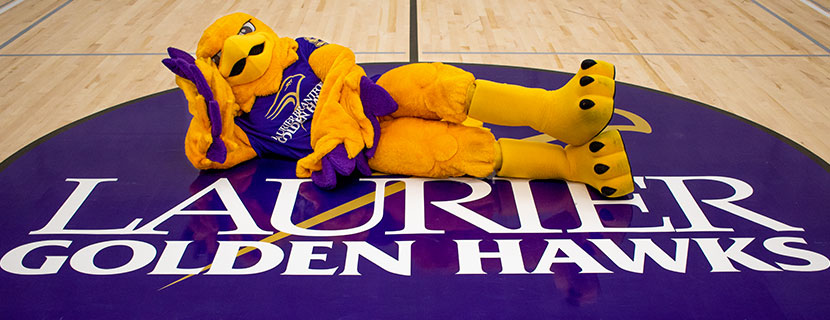 golden hawk mascot on gym floor