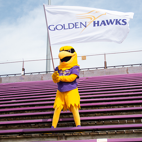 Golden Hawk waving flag on the bleachers.