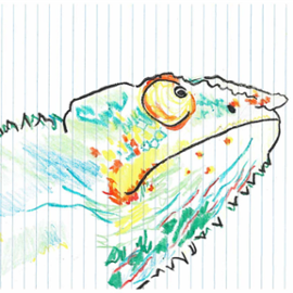 doodle of a chameleon