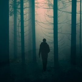 person in a forest