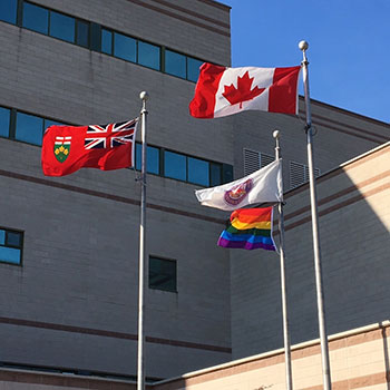 Pride flag and among Laurier flags